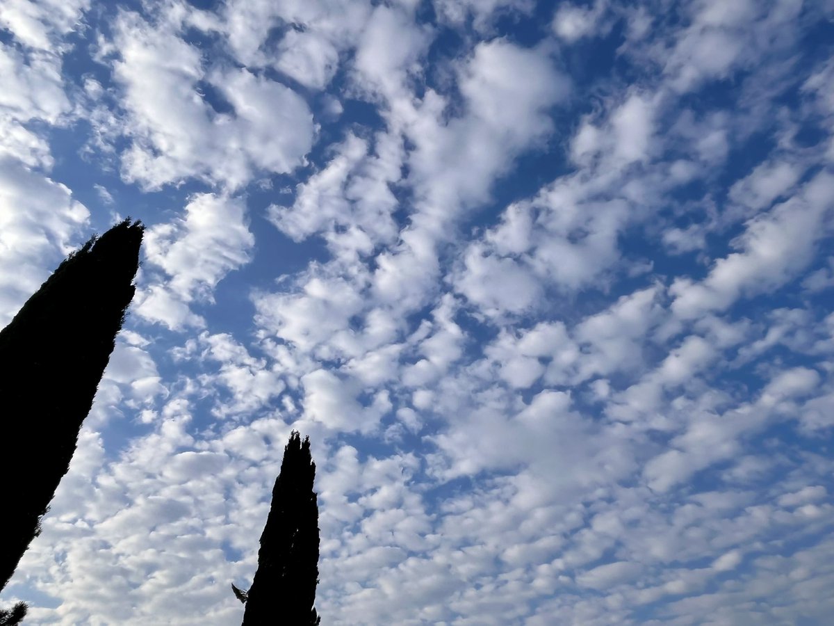 Robby Geebelen tweet media