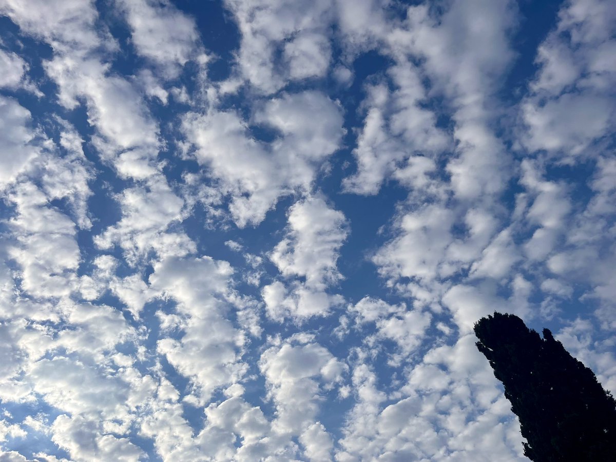 Robby Geebelen tweet media