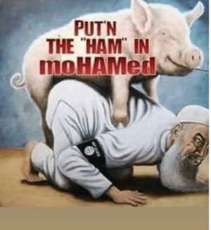 Baywolfx tweet media