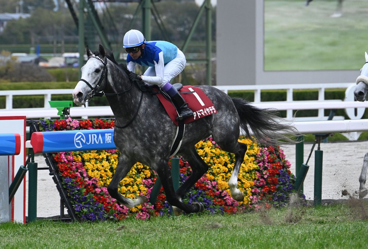 netkeiba tweet media