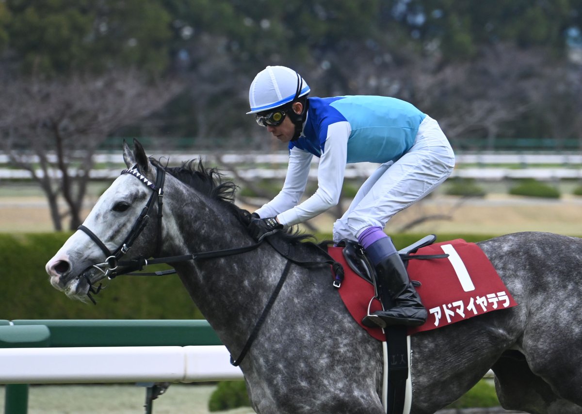 netkeiba tweet media