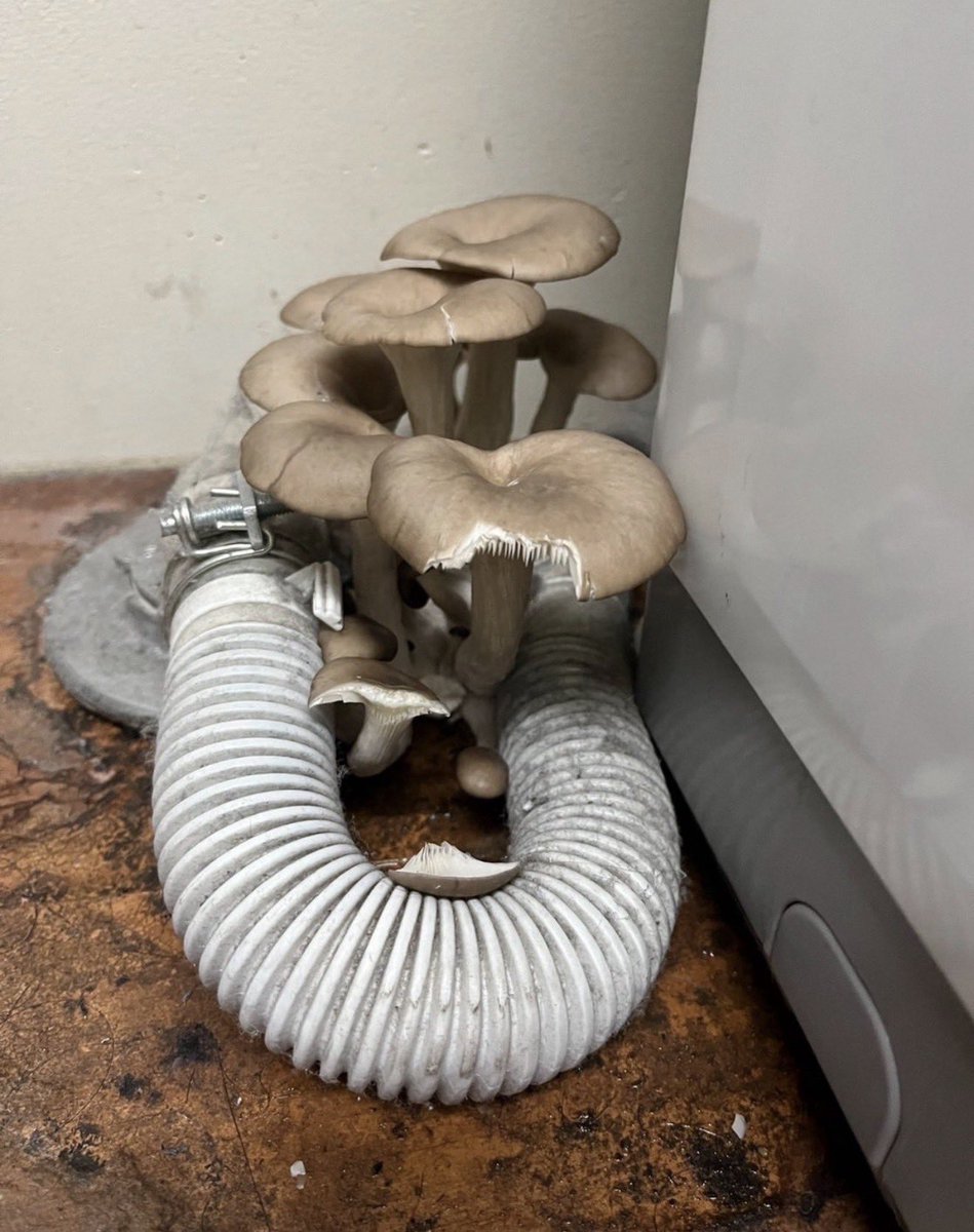 話題の面白ツイ図鑑 tweet media