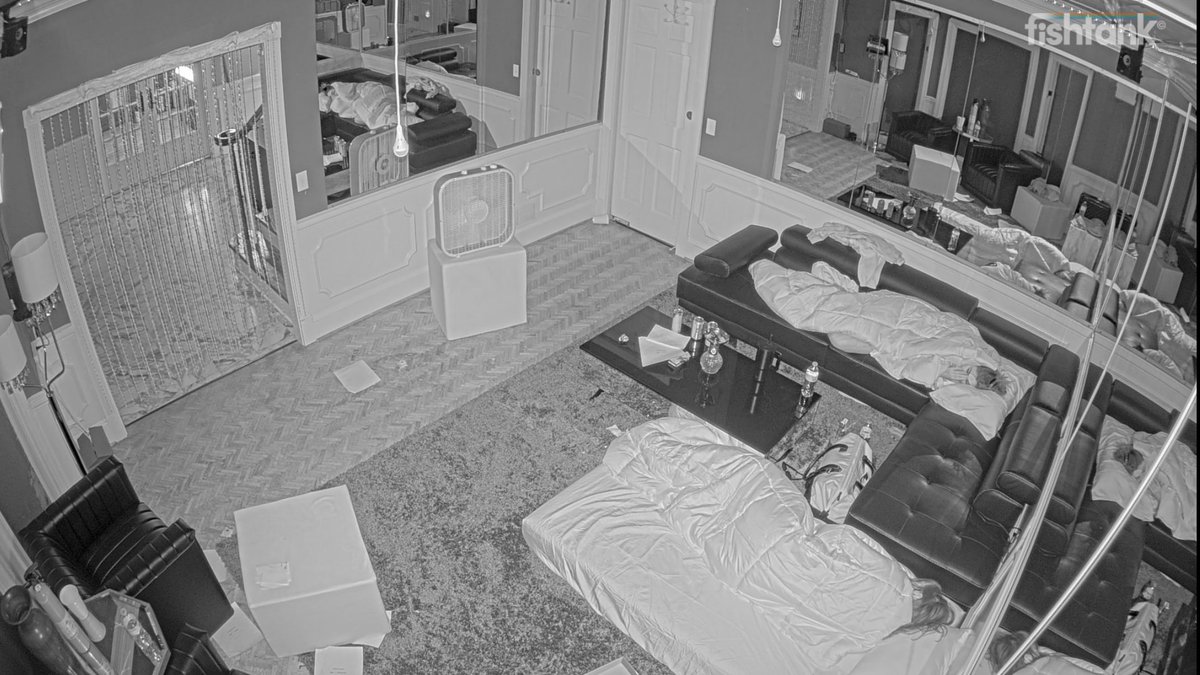 Nora Void tweet media