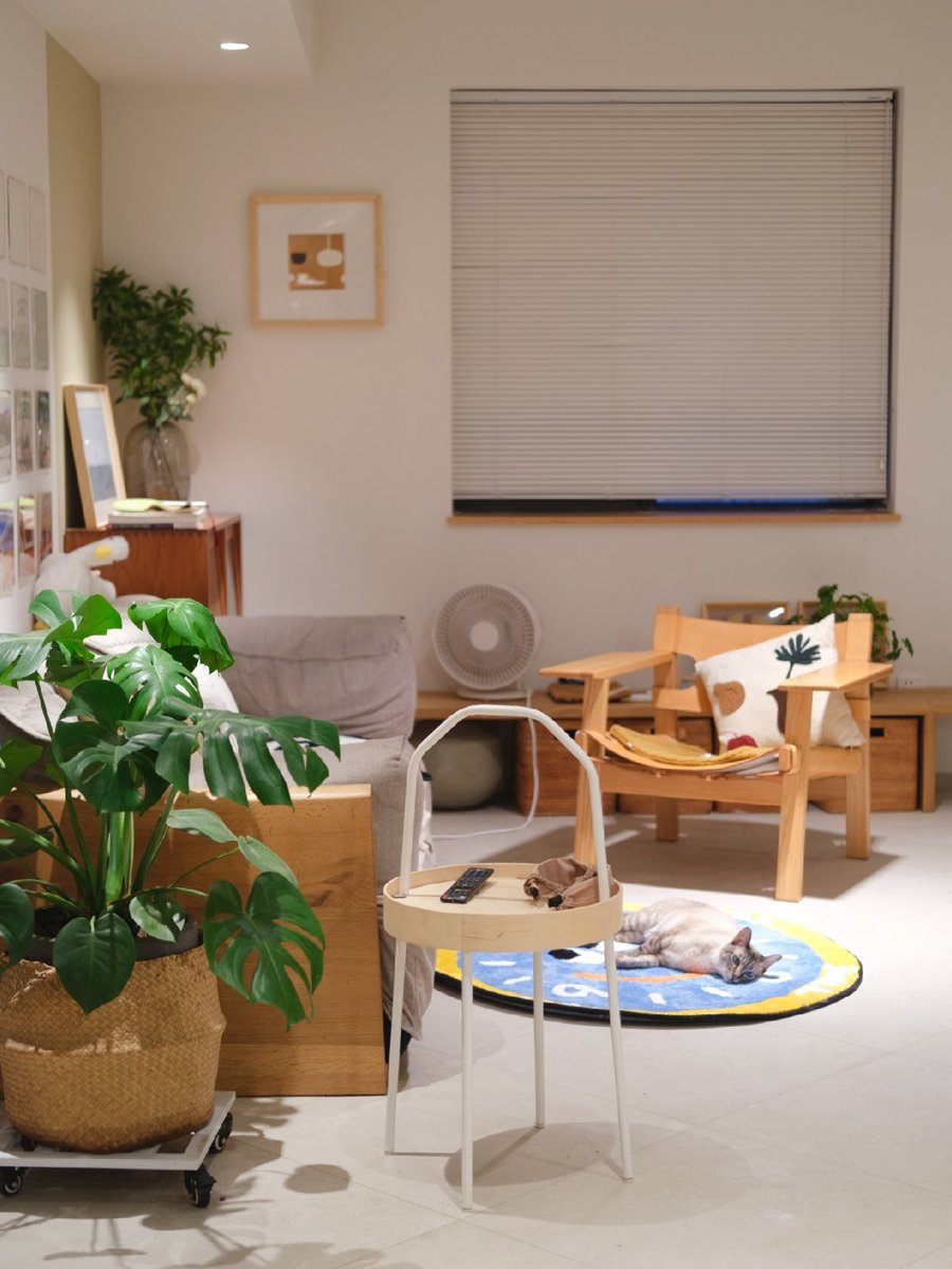 Sandy Walker tweet media