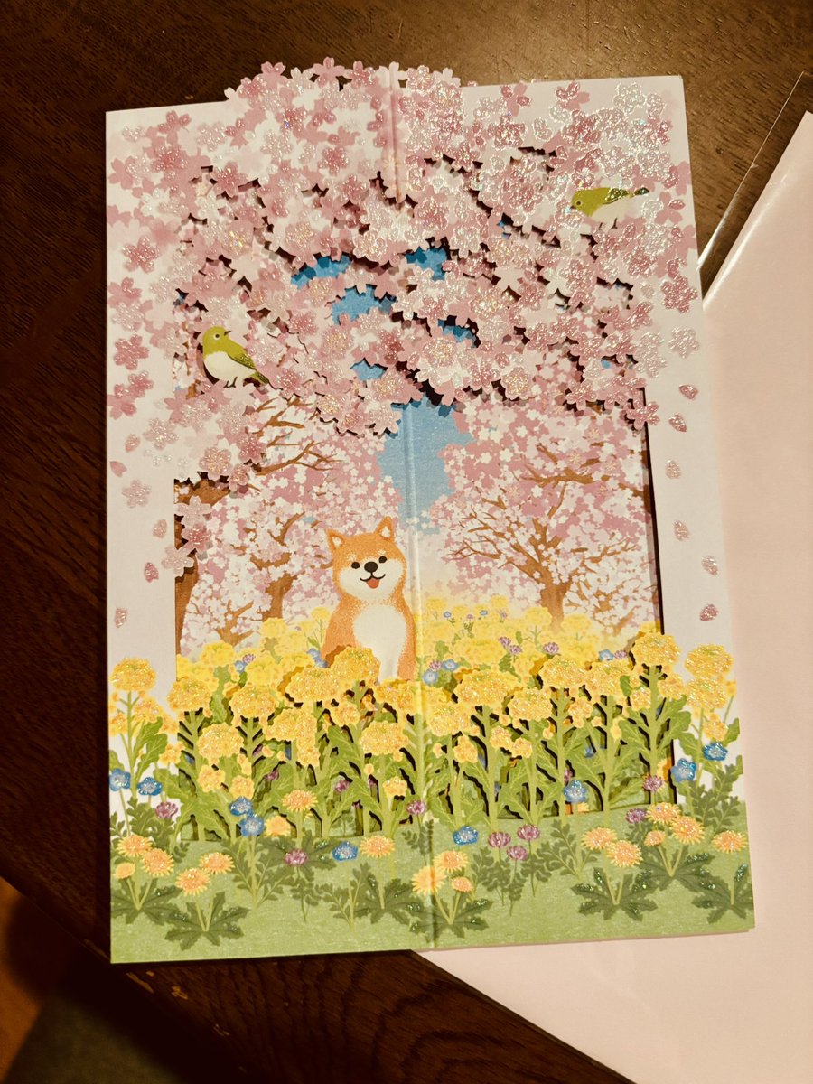 maiko3_7's tweet photo. 今回はりゅう君へのお土産は、ナゴヤめしセットにしました🤗

春らしく、桜&amp;菜の花に芝犬(ゆず)のカードを添えました🌸 りゅう君にイベントで今年も名古屋で会えて嬉しかった　#Ryucrew #世界の空をとんでわかった人生に効く旅学 #Ryucrew_BookTour_2026 https://t.co/AMc2MUZGtL
