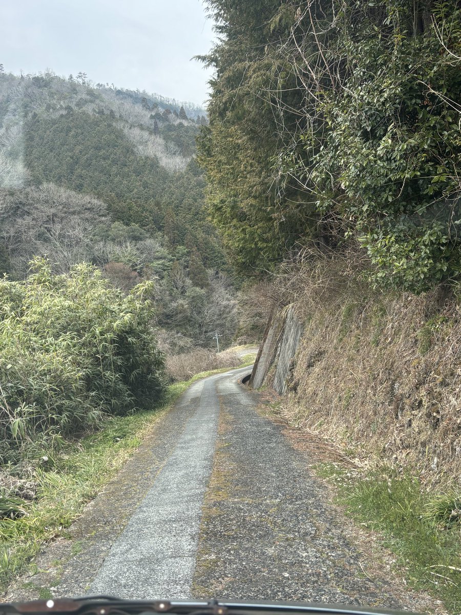 ⭐︎烈音🦊レオン3588∞⭐︎🦉🛸 🌙 tweet media