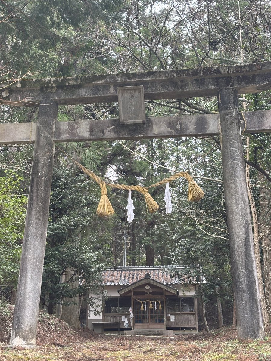 ⭐︎烈音🦊レオン3588∞⭐︎🦉🛸 🌙 tweet media