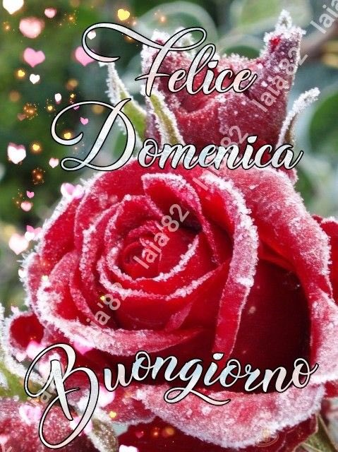 Meroni Daniele tweet media