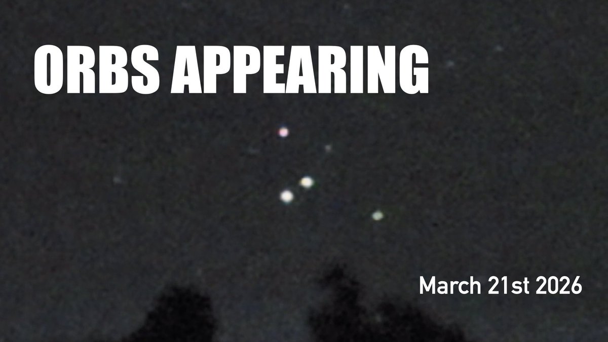 Jaya Sanctuary tweet media