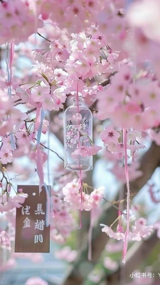 Paradise of Nature tweet media