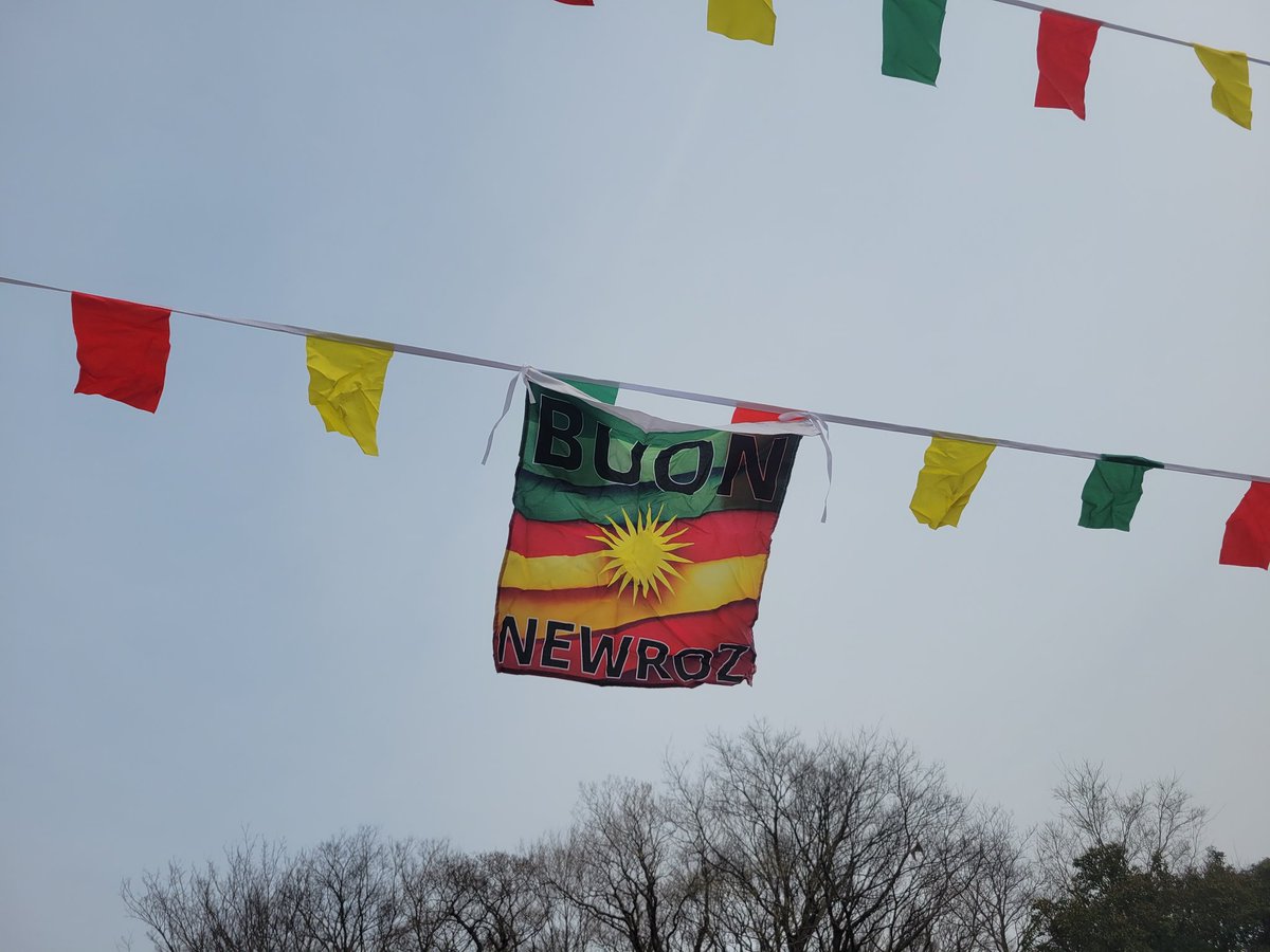 中島有木 NAKAJIMA Yuki tweet media