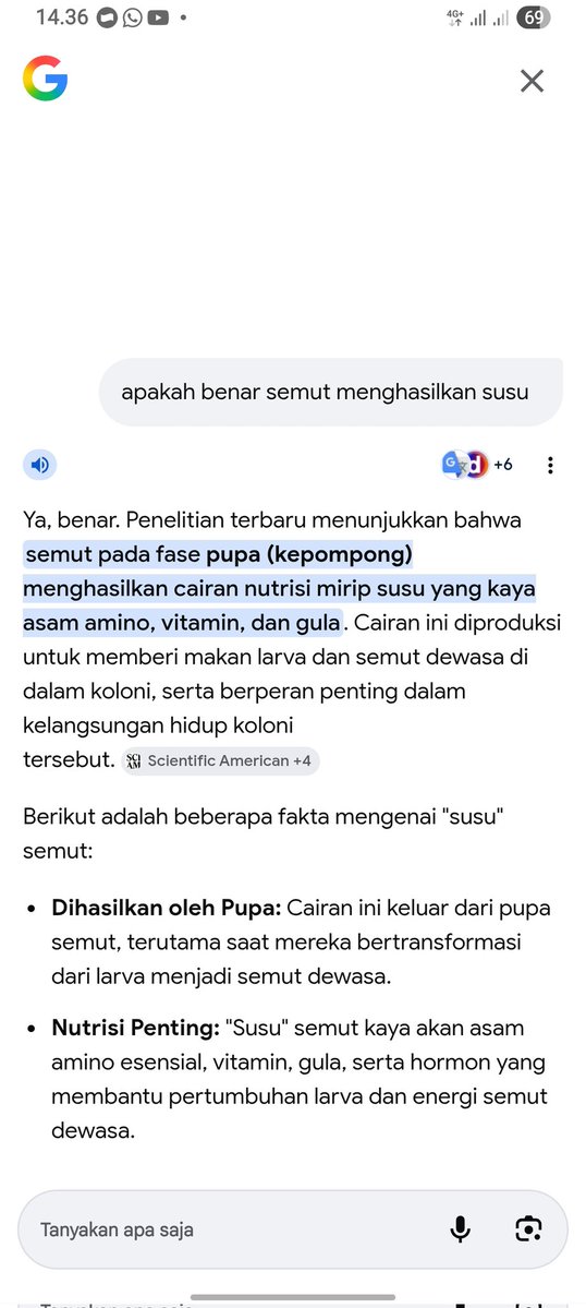 najuuuuu 🎵🔍 tweet media