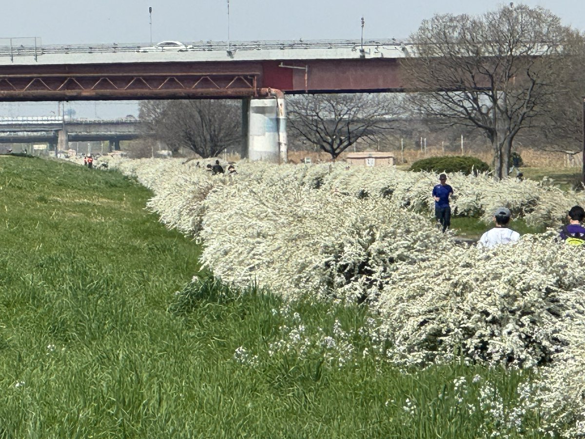 ニックNo5 tweet media