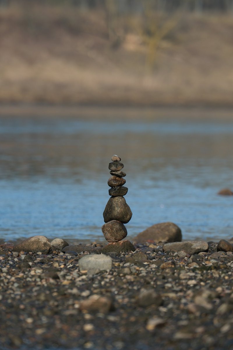 ◍✧〜RεmY〜✧◍ tweet media