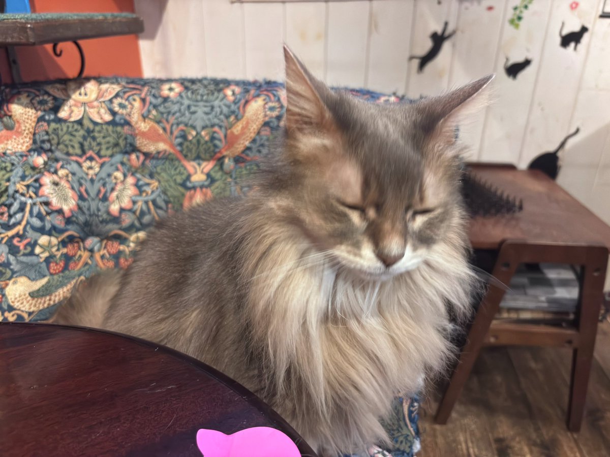 やす。 tweet media