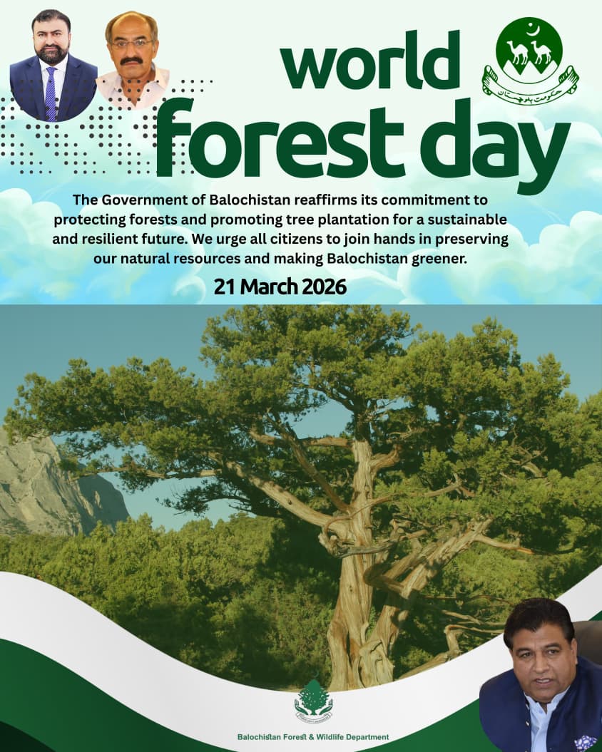 bfwd1876's tweet photo. The Government of Balochistan reaffirms its commitment to protecting forests and promoting tree plantation for a sustainable and resilient future. We urge all citizens to join hands in preserving our natural resources and making Balochistan greener https://t.co/TSfHnyuqcX