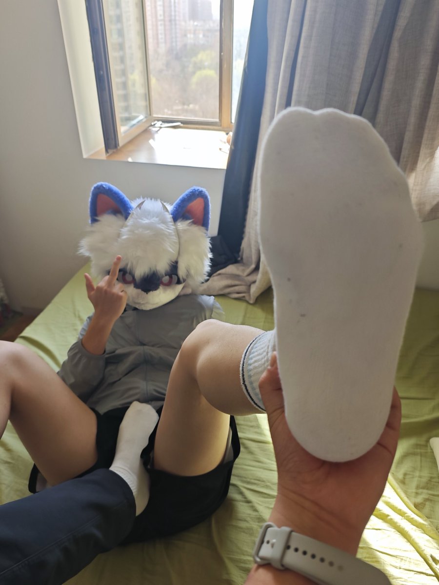 笨小狗淩云 tweet media