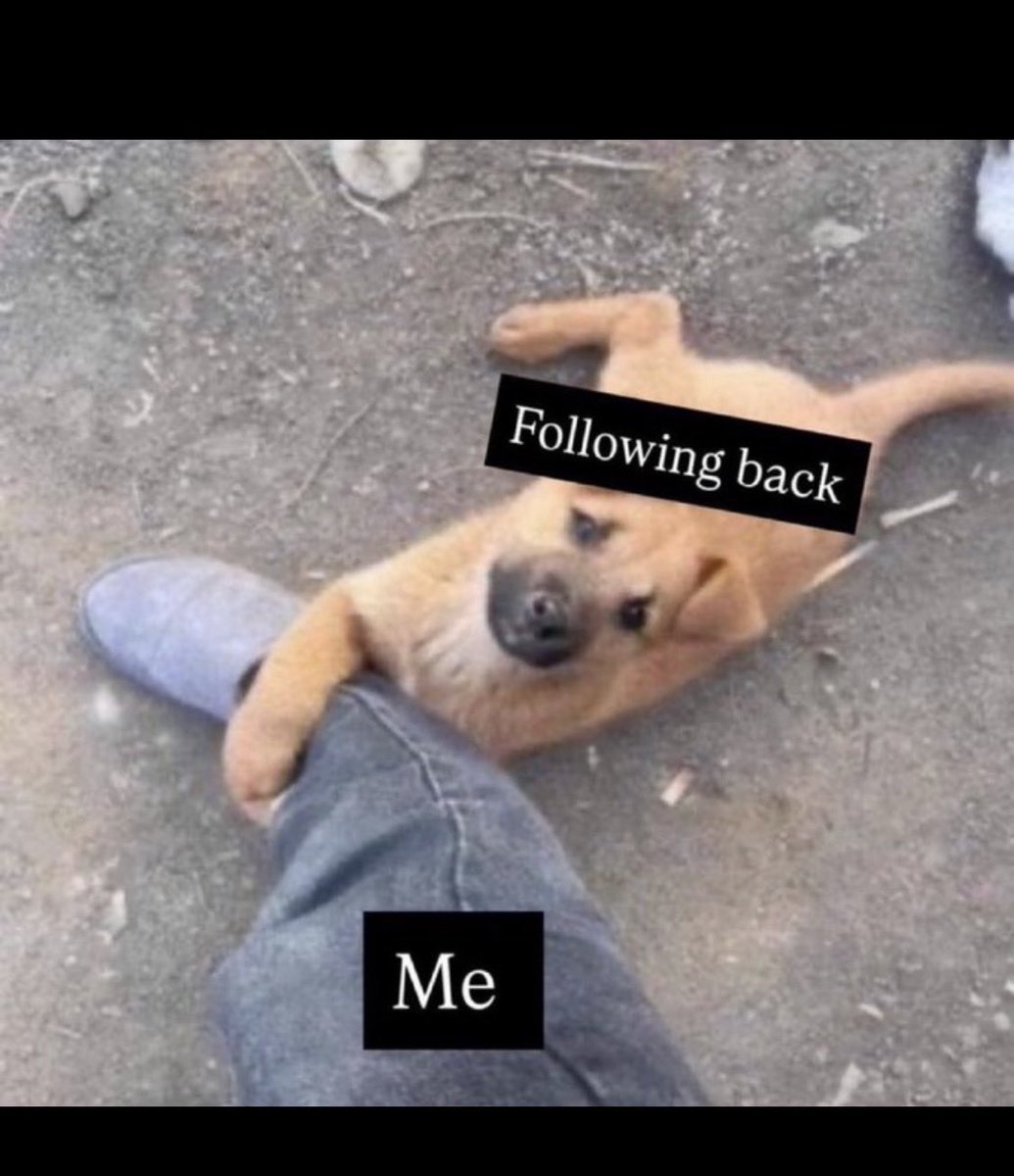 Good morning family 🤍

Pride got nothing on me 
I follow back immediately