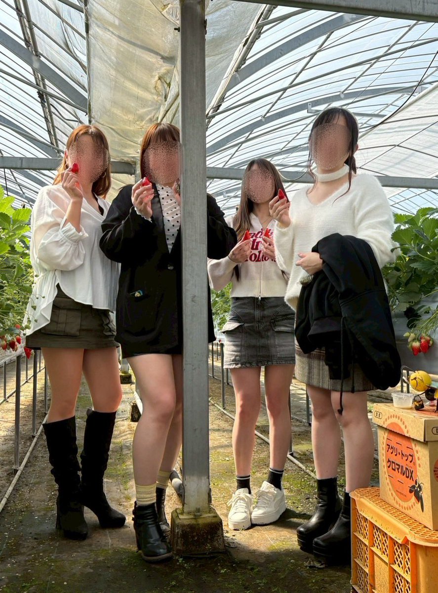 ケン🐨＋はるか🐱 tweet media