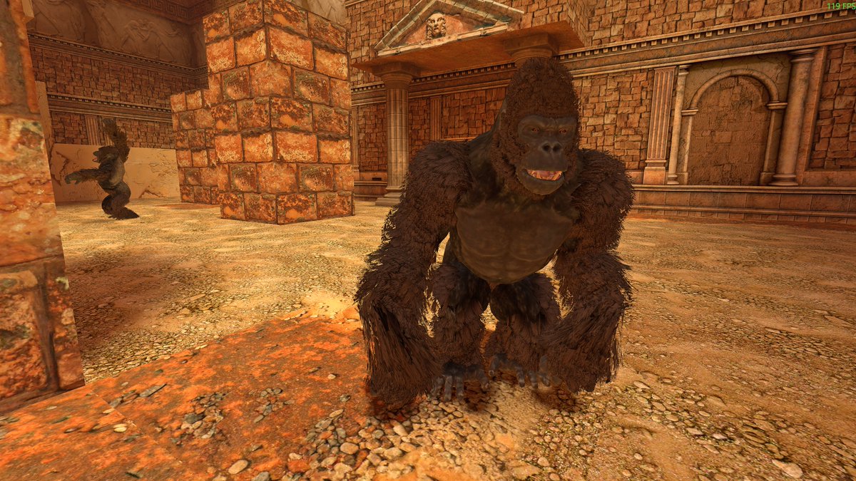 AimlessThunder 🦁 tweet media