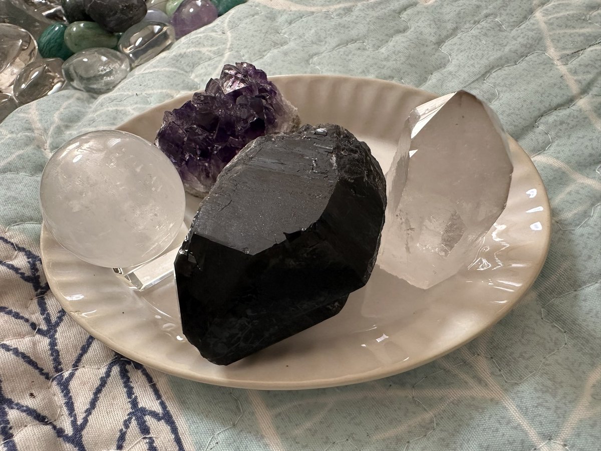 地球を愛する地球人 tweet media