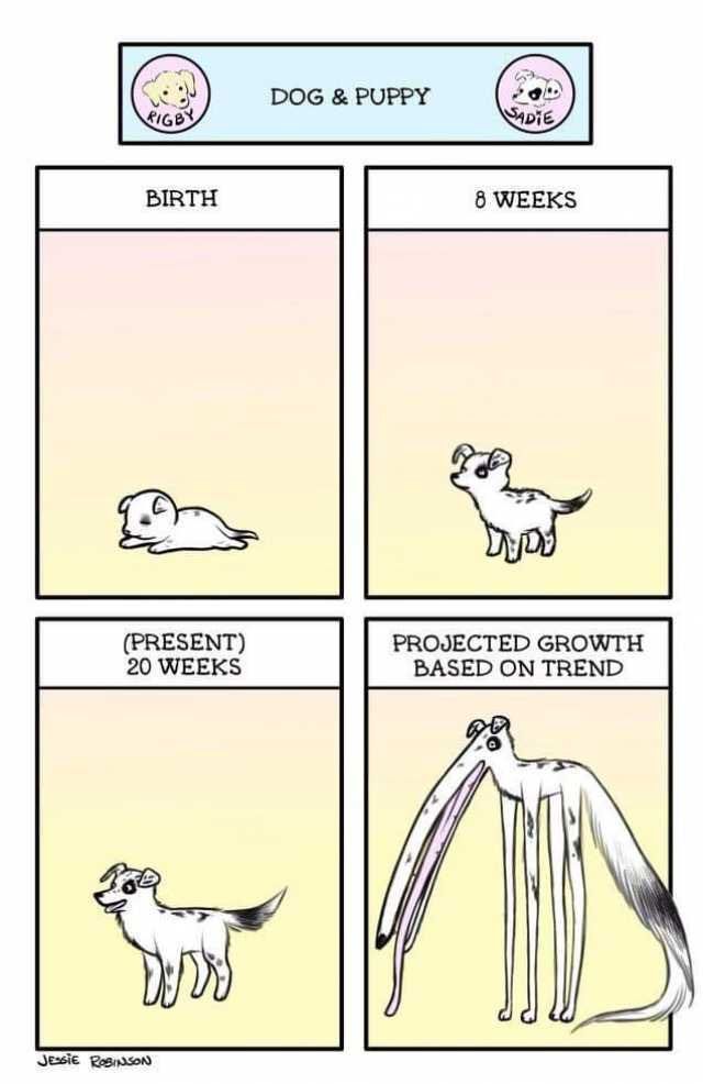 David Engels tweet media