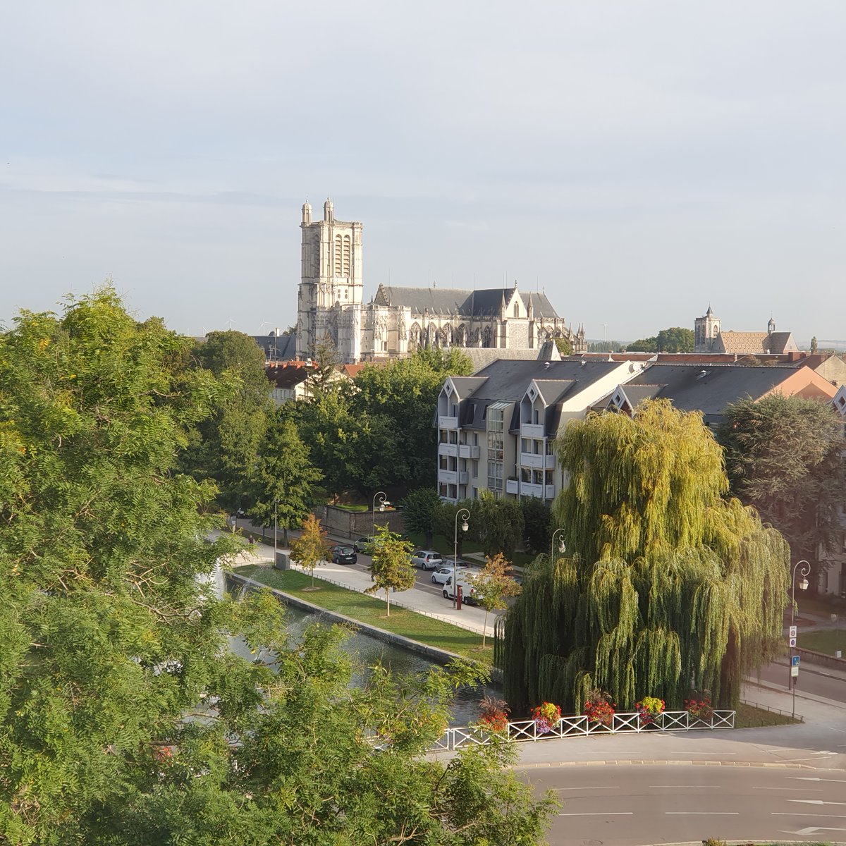 Pascalou10 tweet media