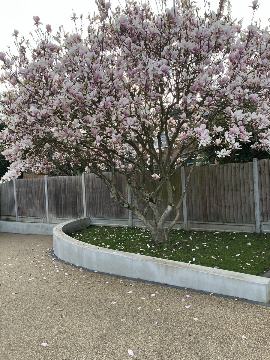 Jacinta Palmer tweet media