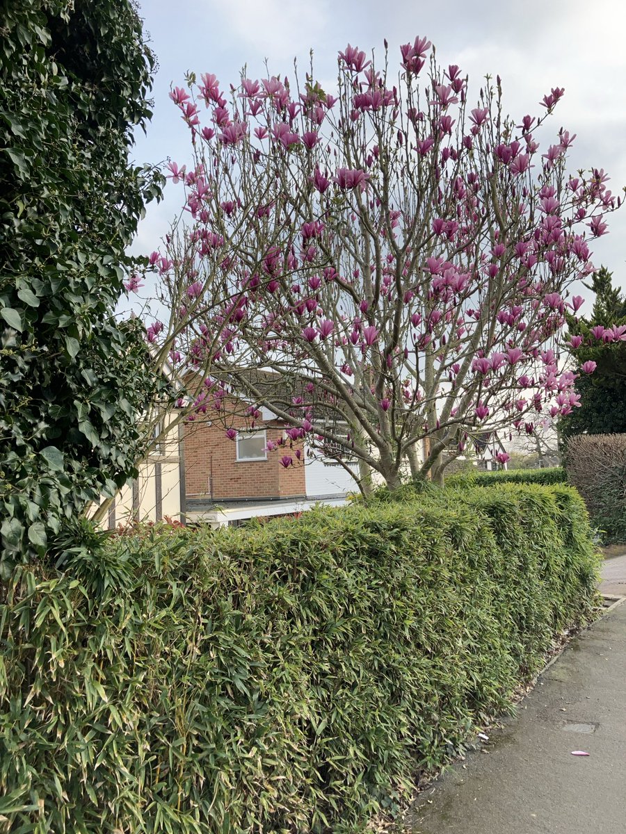 Jacinta Palmer tweet media