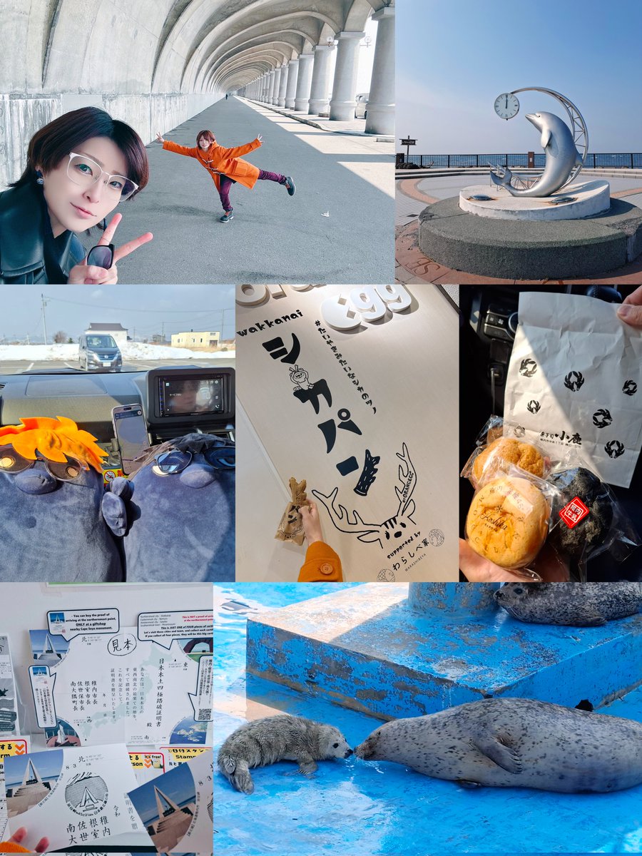 わもっか♨️ tweet media