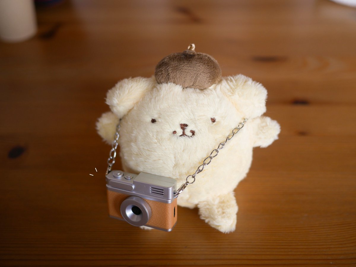 ぽむち tweet media