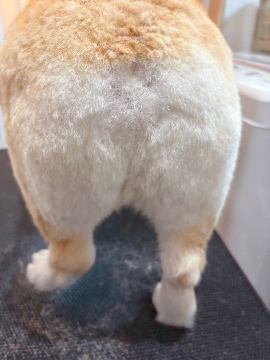 はんぺん tweet media