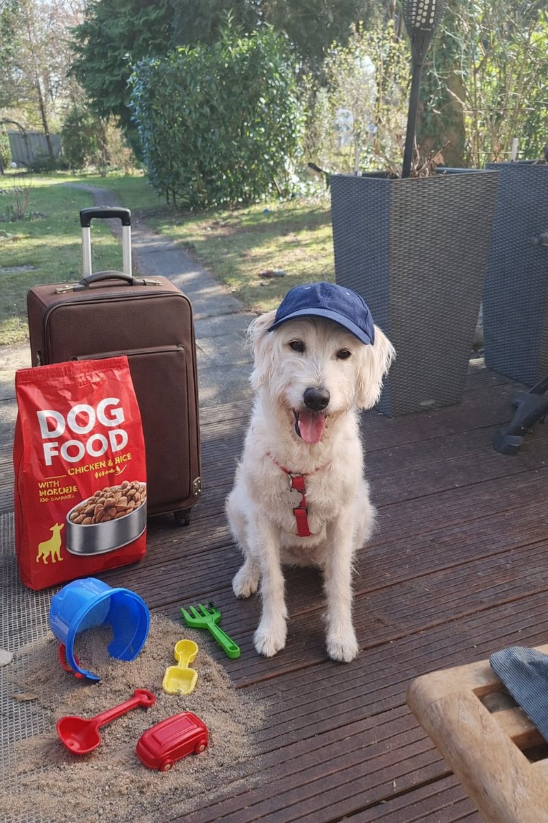 ElliPirelli🐾 tweet media