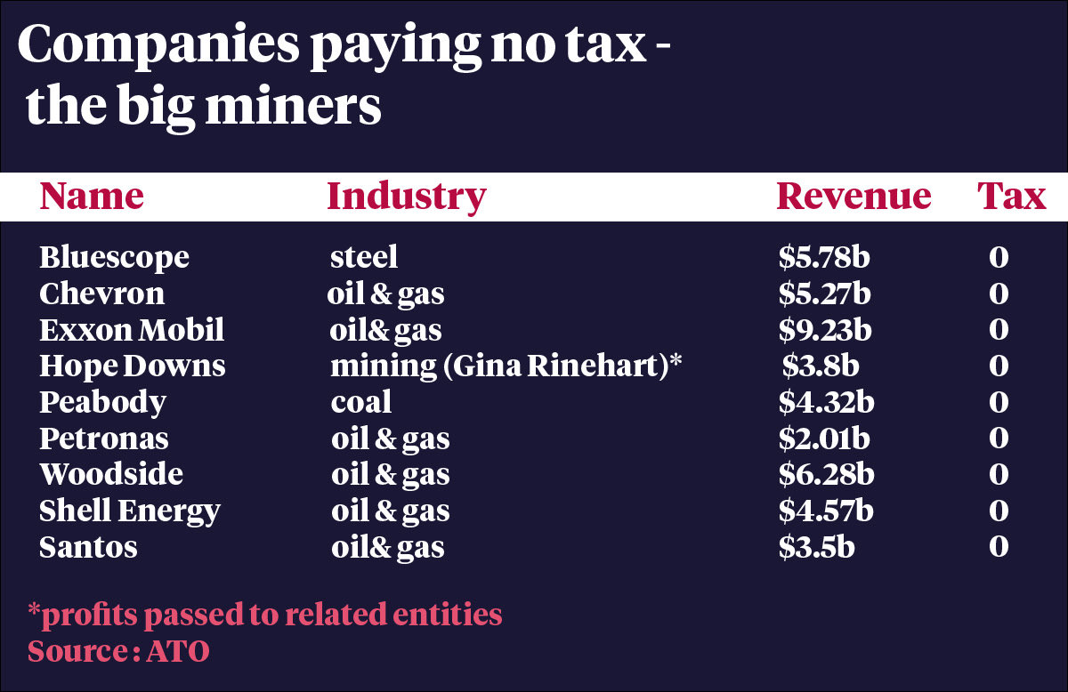 CaraMia200 tweet media