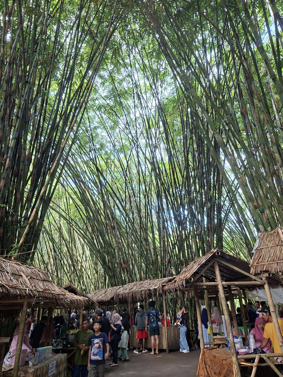 Frista Fersia Purwaninggar tweet media