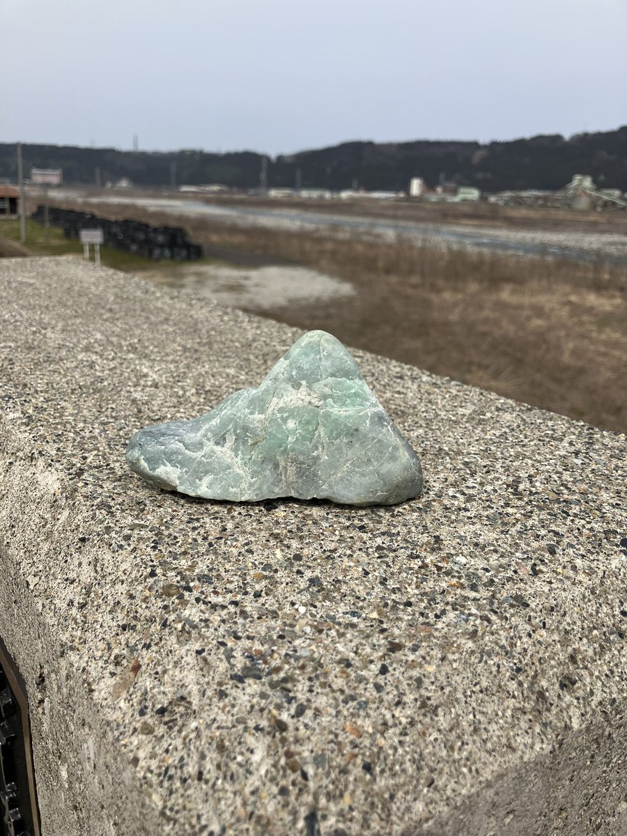 翡翠とベンツ大好き tweet media