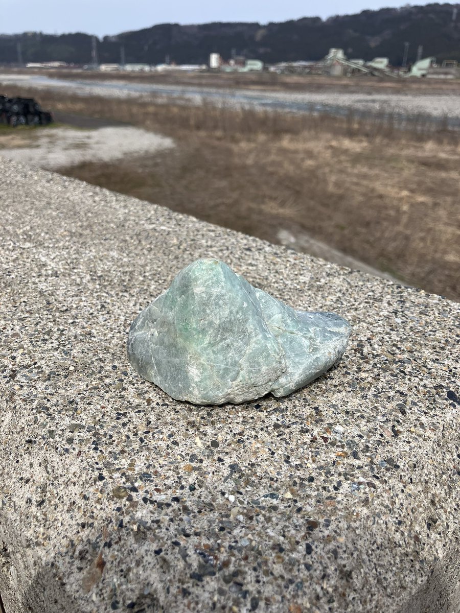 翡翠とベンツ大好き tweet media