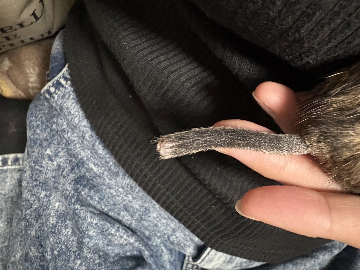 ꒰ঌ maririn ໒꒱ tweet media