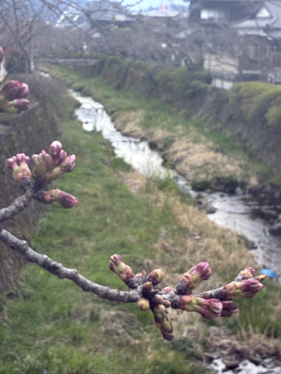 クリエイティブ・スペース赤れんが tweet media