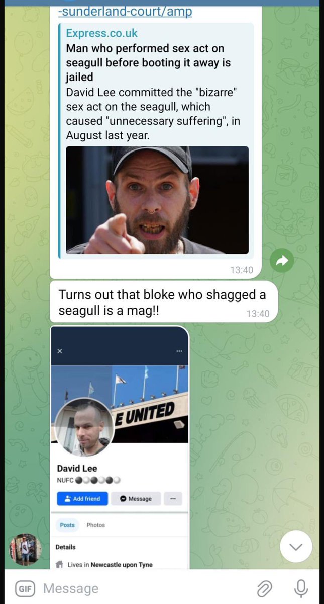 anth👁 tweet media