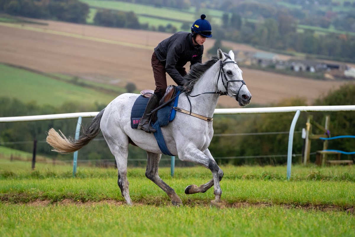 Fergal O'Brien Racing tweet media