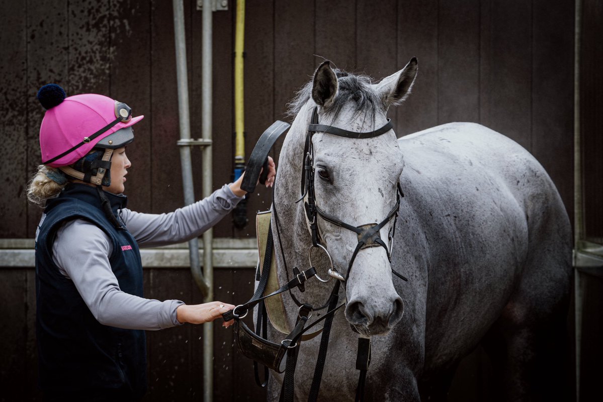 Fergal O'Brien Racing tweet media