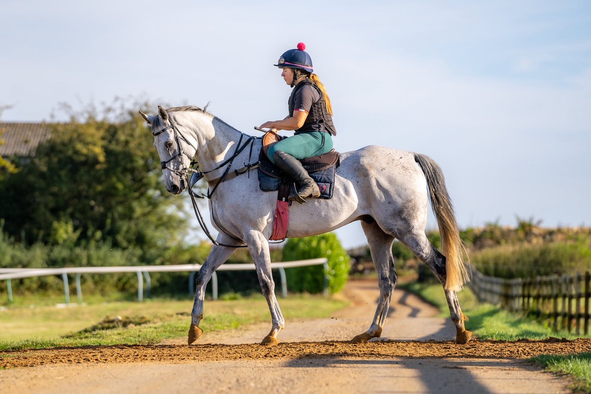 Fergal O'Brien Racing tweet media