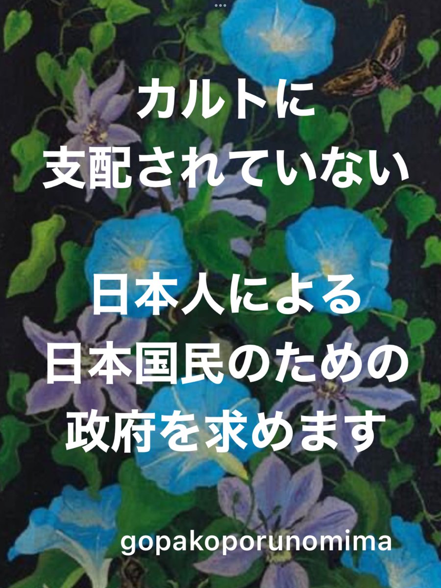 🐈ゴパコポ・ルノミマ🐈⬛ tweet media