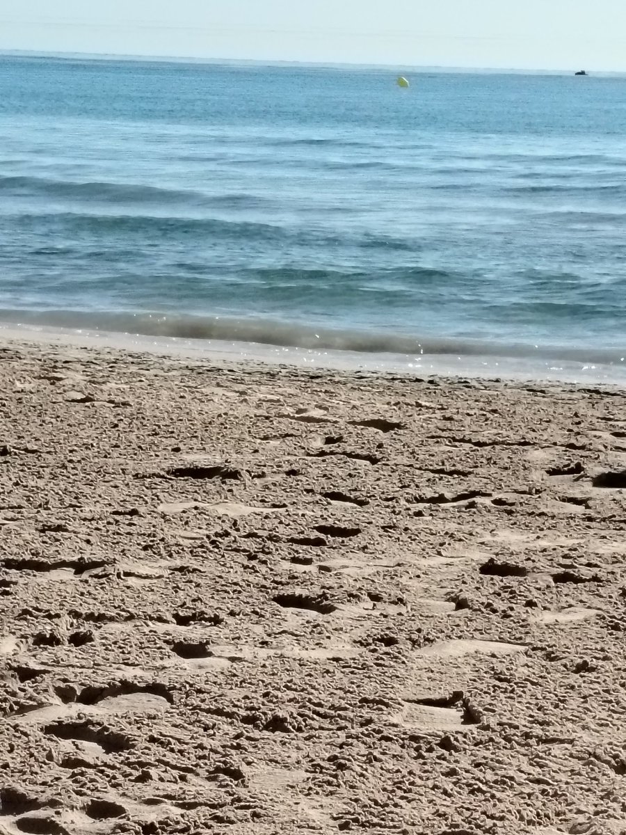 Pily Pastor Bernabéu tweet media