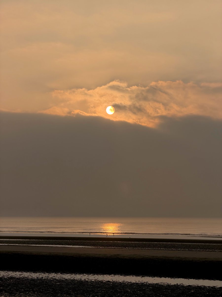 Kelly 👱🏻‍♀️🌊🔆 tweet media