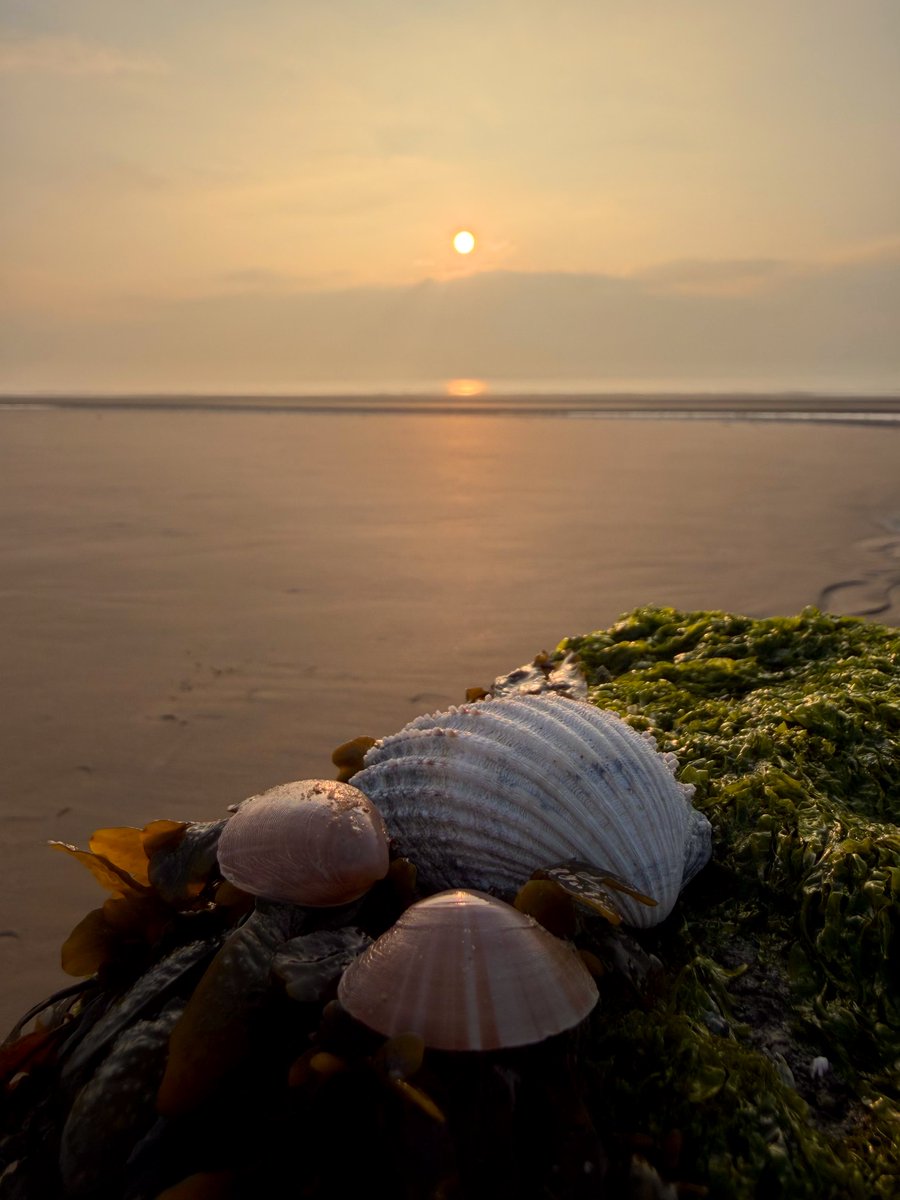 Kelly 👱🏻‍♀️🌊🔆 tweet media