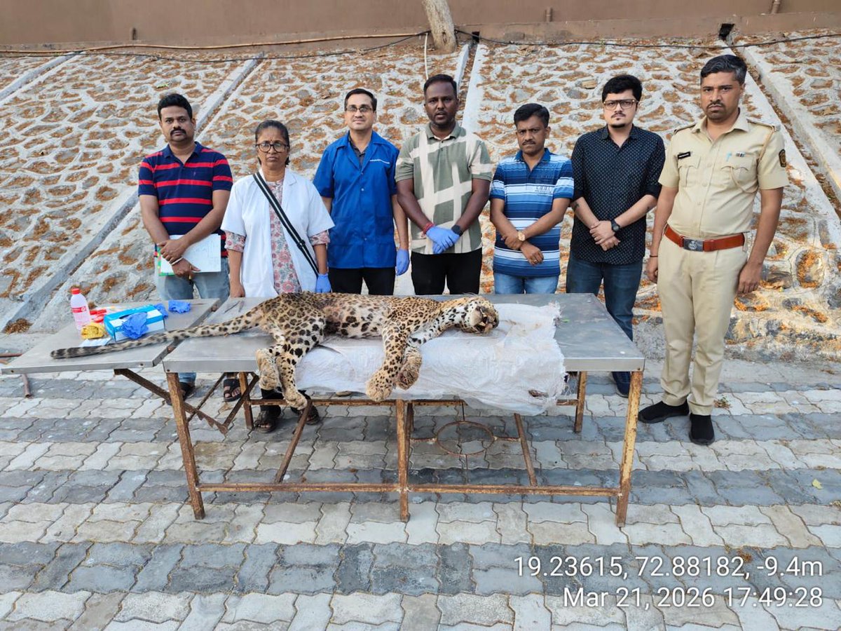 नेत्वा धुरी NETWA DHURI tweet media