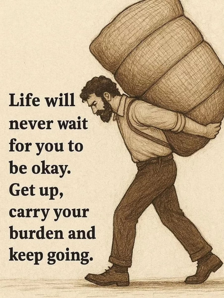 Seek Wiser tweet media