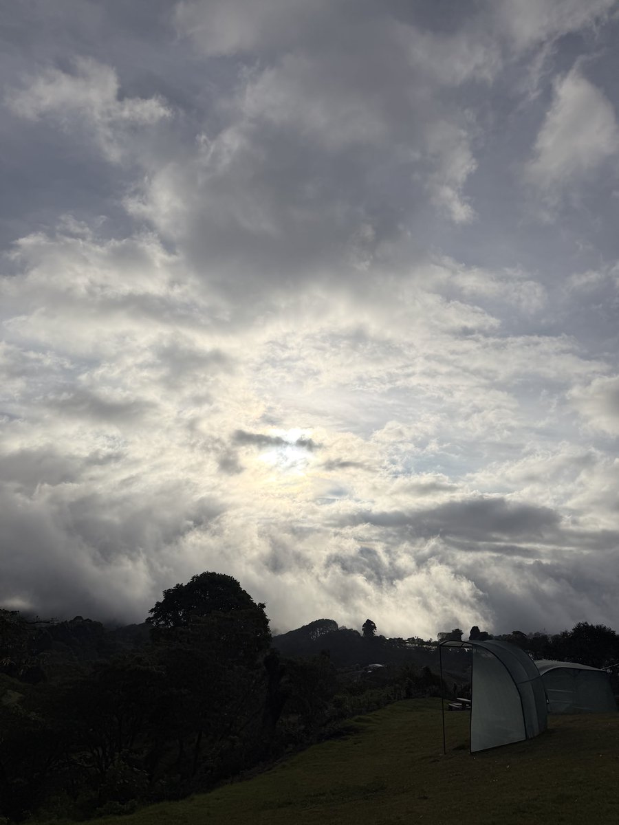 NudistaFeliz❤♋ tweet media